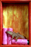 035.jpg (32093 byte)