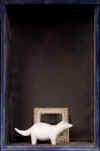 047.jpg (16979 byte)